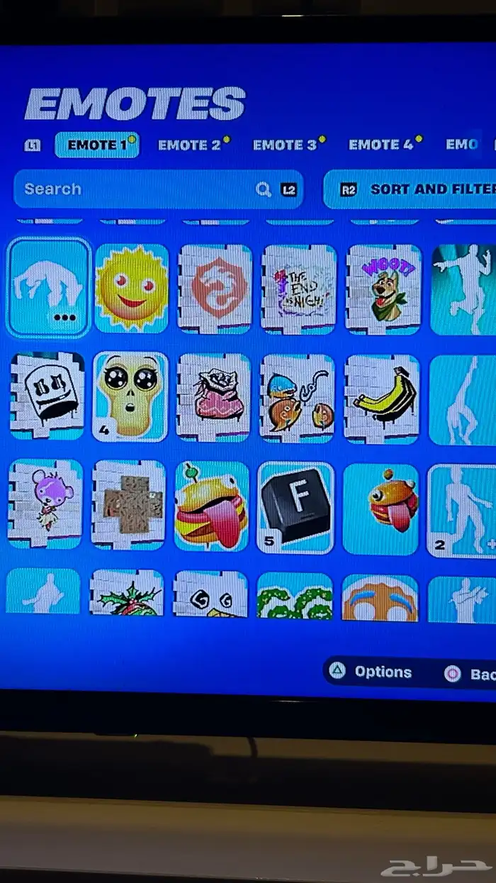 حساب فورت سكن البلس وتيك ذا ال 36