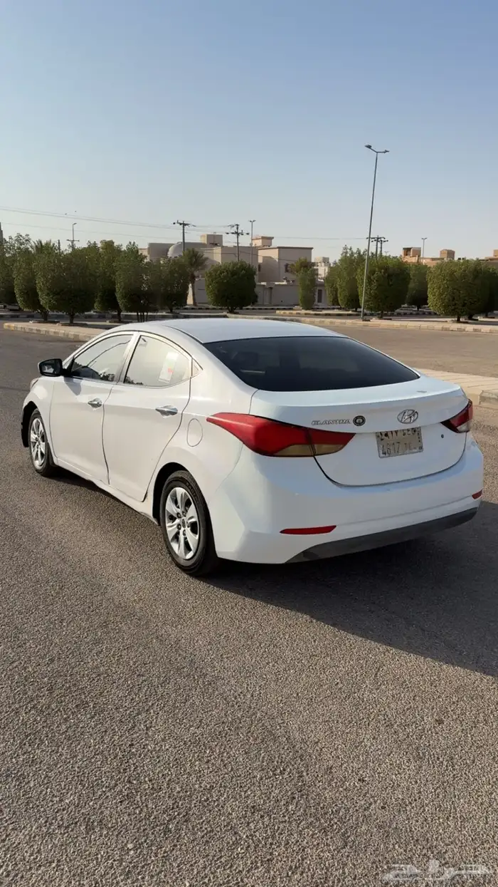النترا 2015 3
