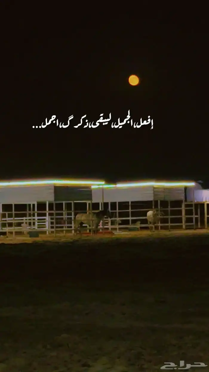 غرف خيل للايجار 3