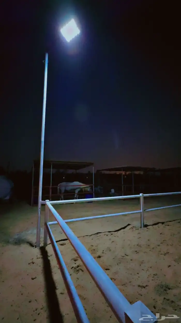 غرف خيل للايجار 1