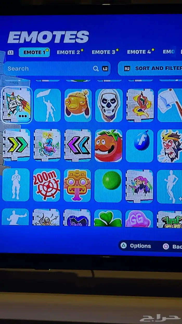 حساب فورت سكن البلس وتيك ذا ال 38