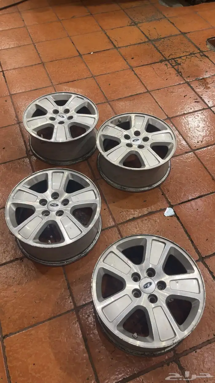 جنوط فكتوريا و شبك فكتوريا 3