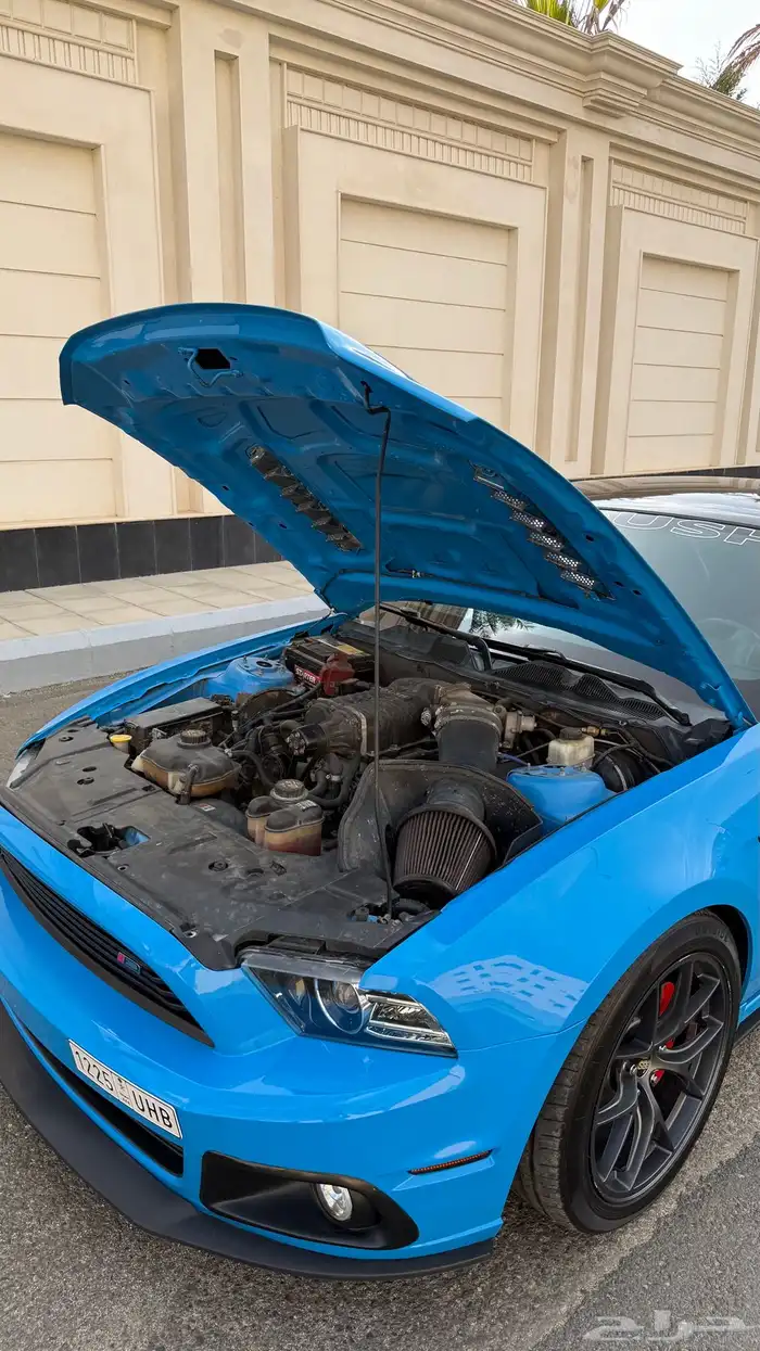 موستنق GT 5.0 ( سوبر تشارج راوش ) 2013 17