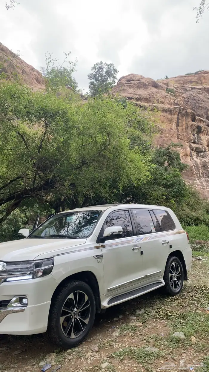 صالون 2010 مرهم 2021 0