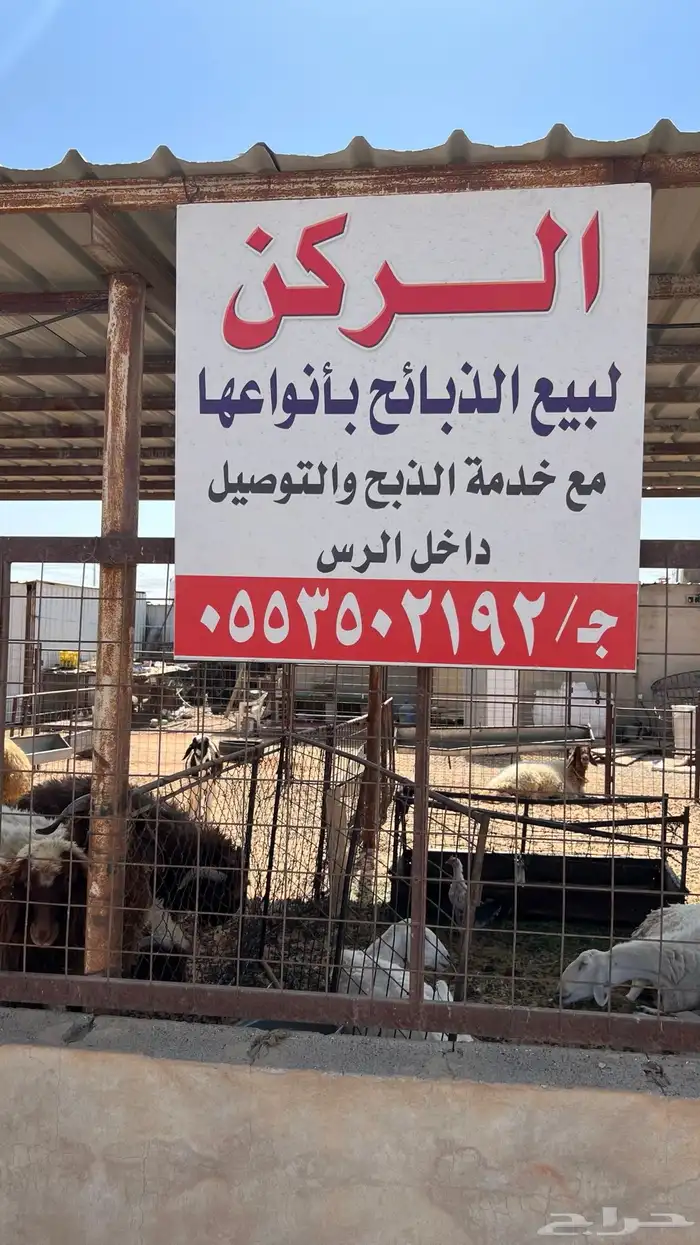نوفر الذبايح مع صلخ وتوصيل 0