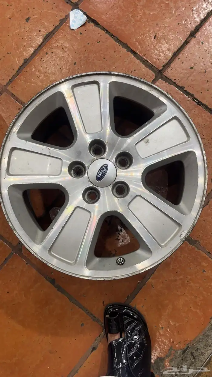 جنوط فكتوريا و شبك فكتوريا 11