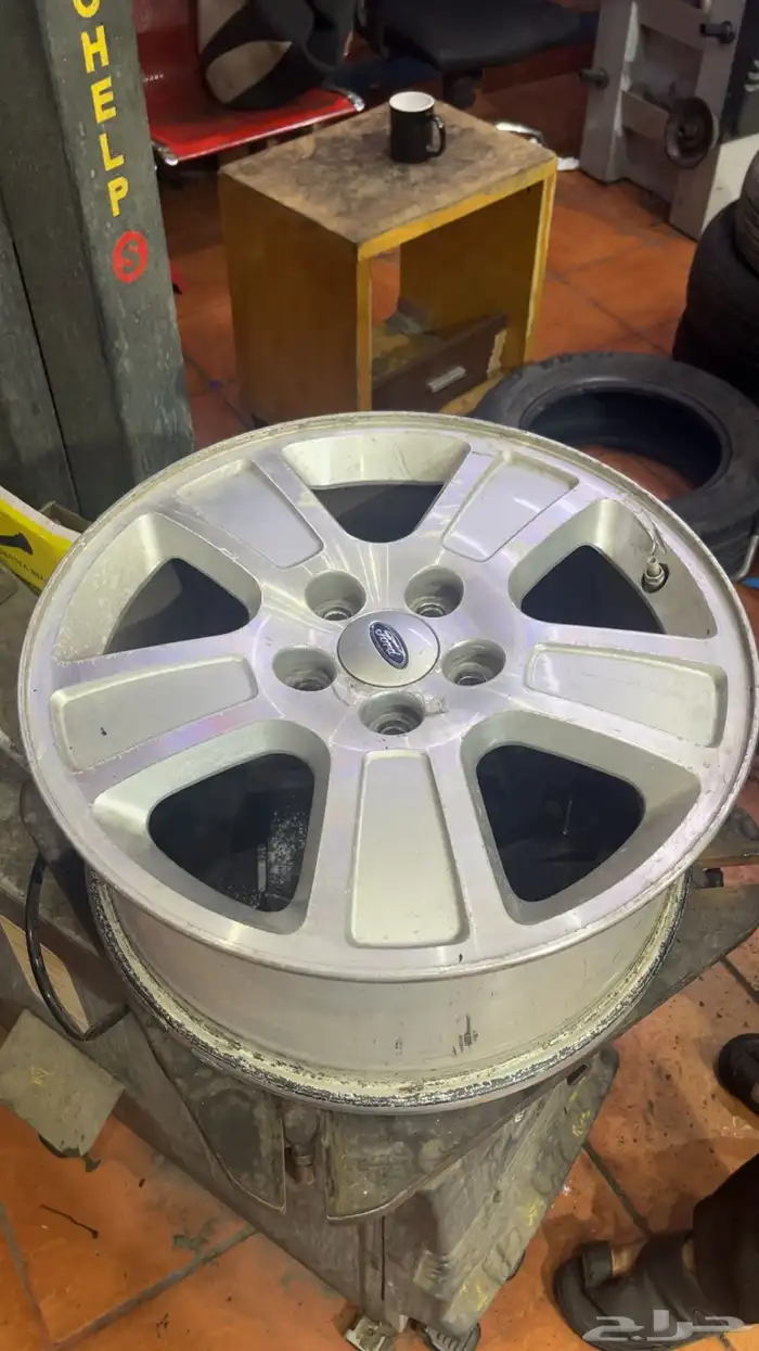 جنوط فكتوريا و شبك فكتوريا 5