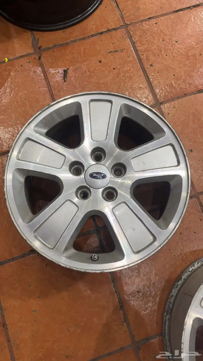 جنوط فكتوريا و شبك فكتوريا 10