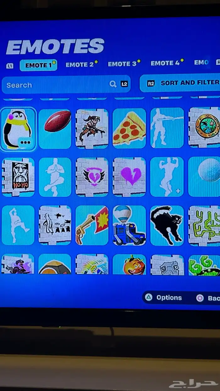 حساب فورت سكن البلس وتيك ذا ال 34