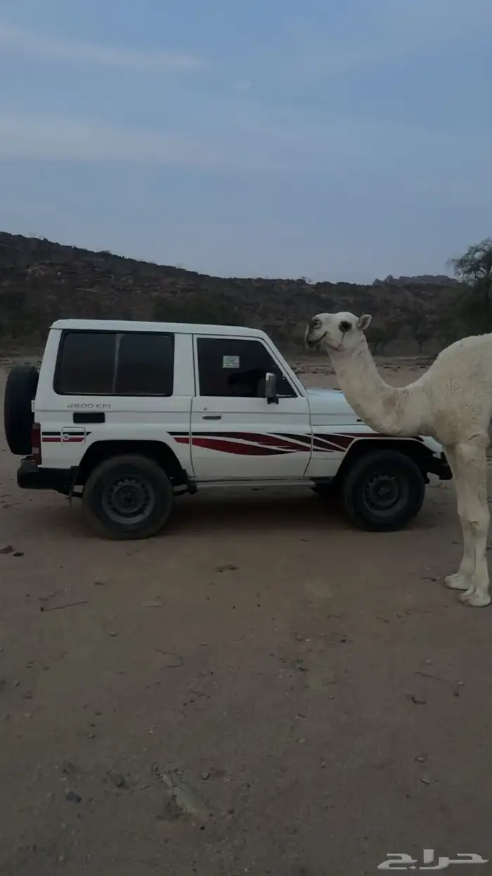 جيب ربع 5