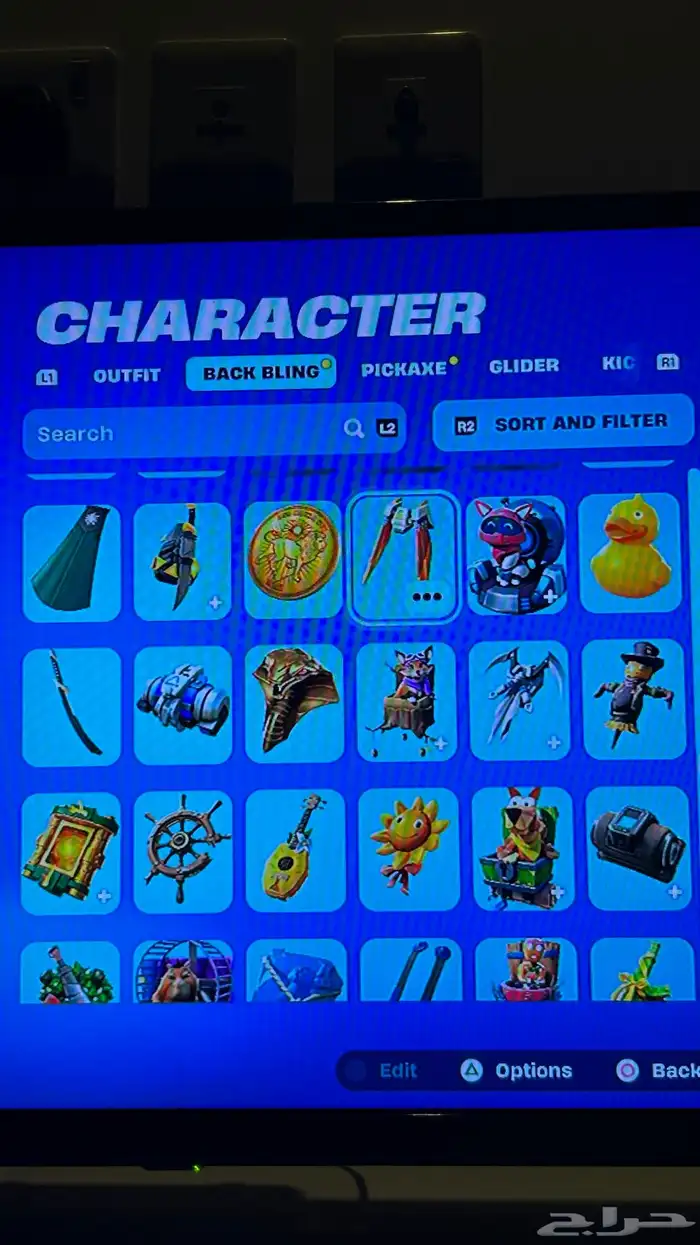 حساب فورت سكن البلس وتيك ذا ال 10