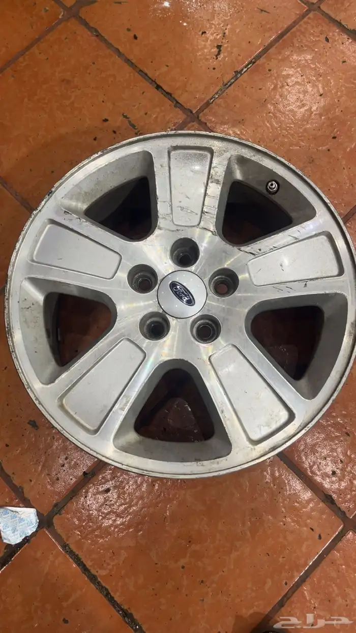 جنوط فكتوريا و شبك فكتوريا 4