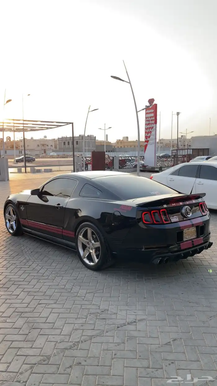 موستنق 2010 4.6 V8 11