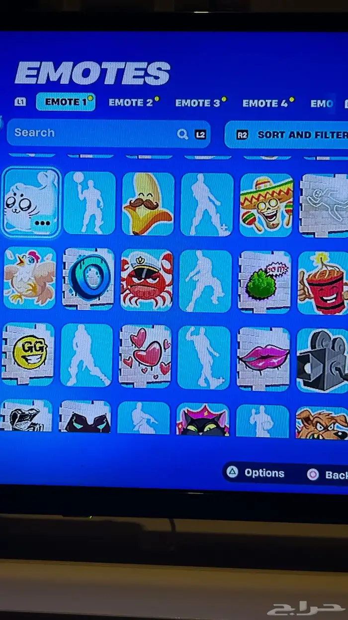 حساب فورت سكن البلس وتيك ذا ال 30