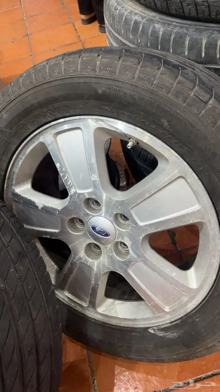 جنوط فكتوريا و شبك فكتوريا 8