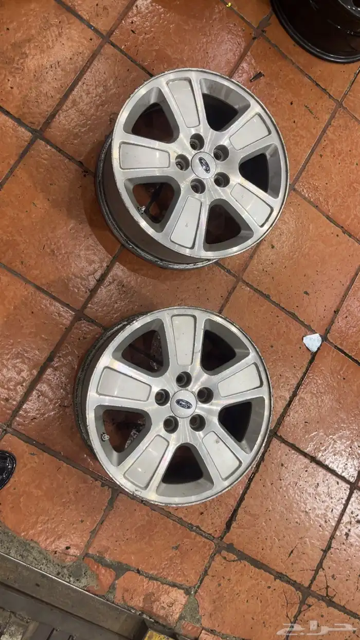 جنوط فكتوريا و شبك فكتوريا 12