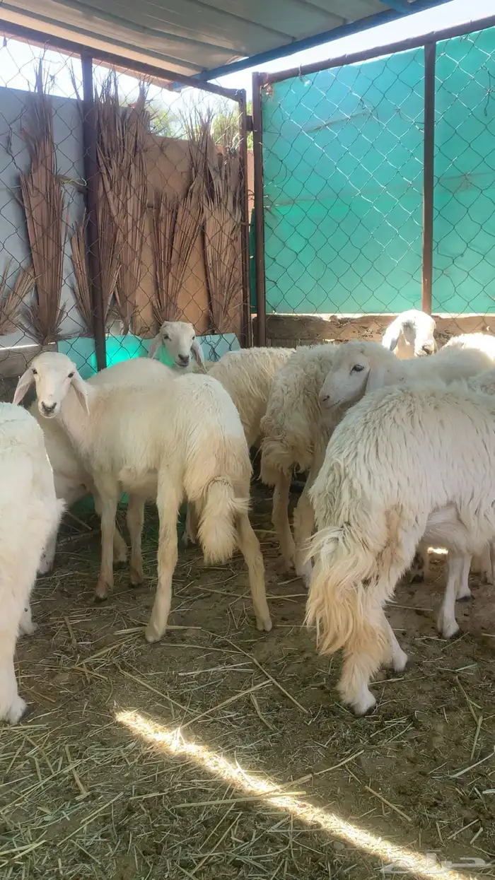 اذكر الله 2