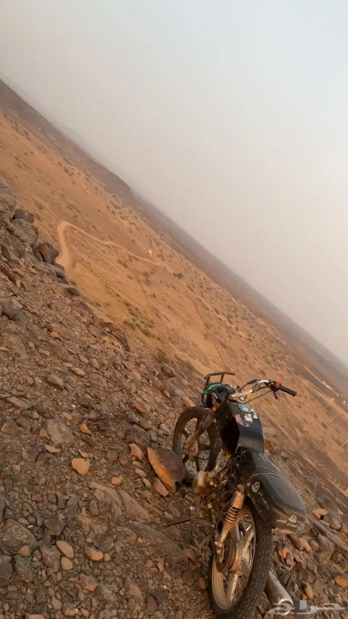دباب سويدي 125 2