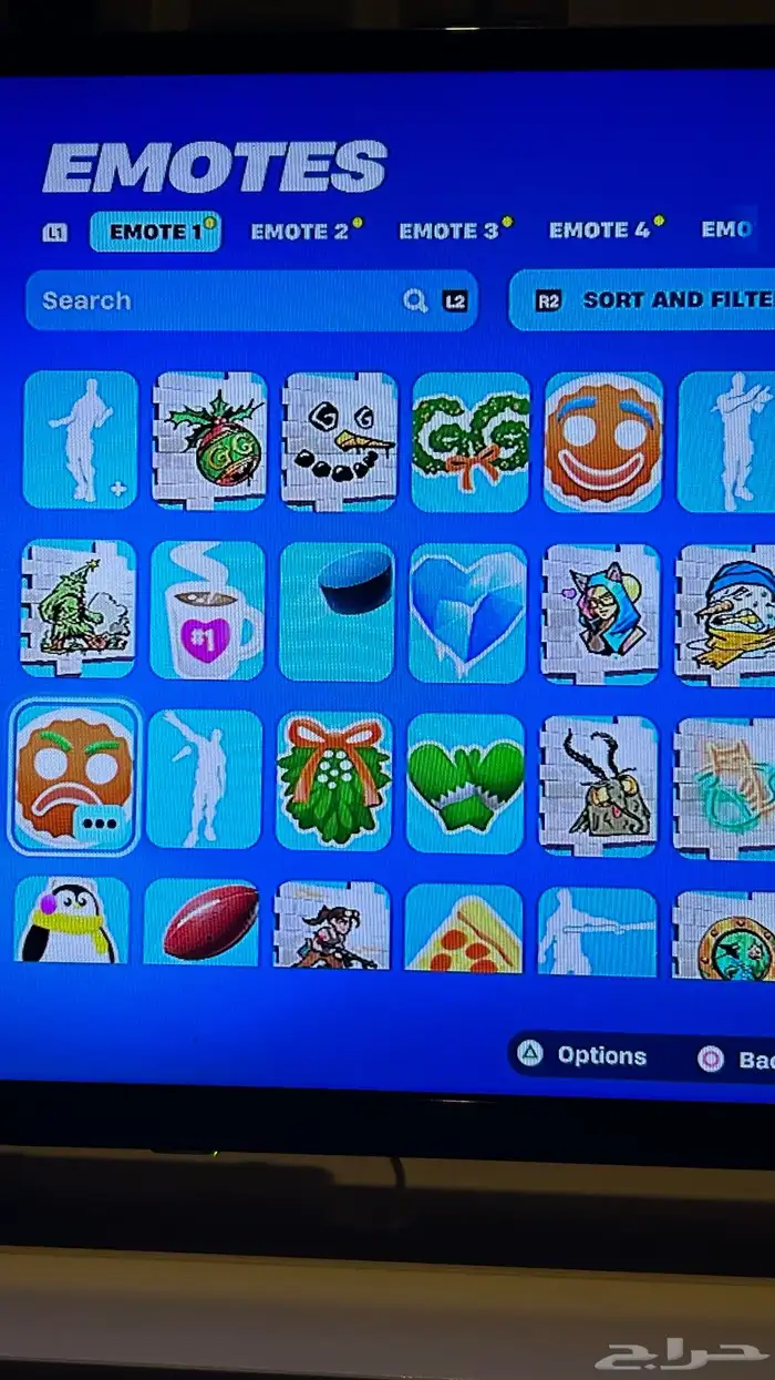 حساب فورت سكن البلس وتيك ذا ال 35