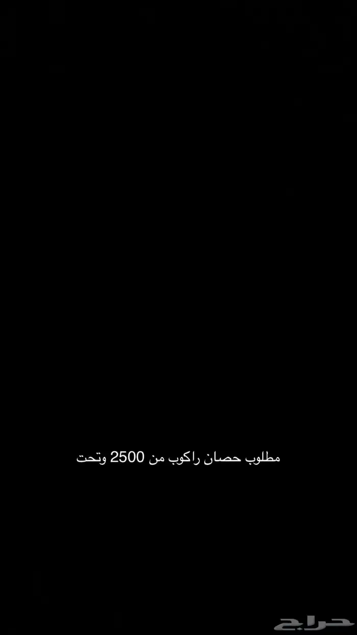 مطلوب حصان وركوب من 2500 وتحت 0