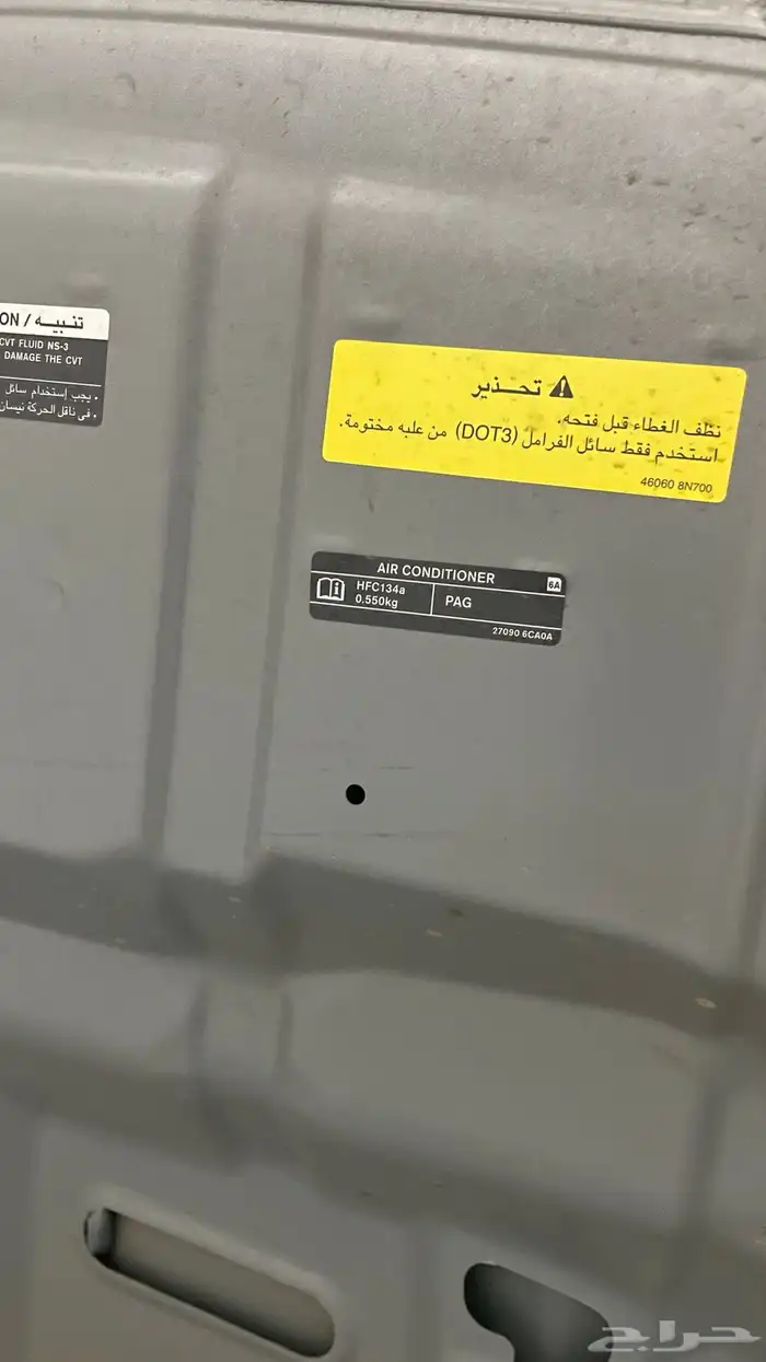 كبوت وشبك التيما وكالة 2024 4