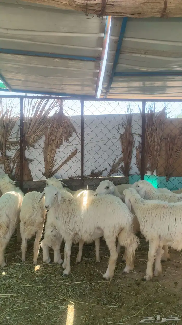 اذكر الله 3