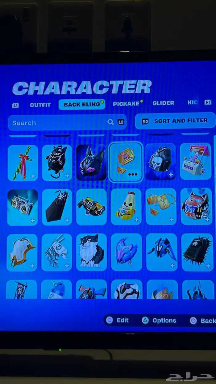 حساب فورت سكن البلس وتيك ذا ال 13