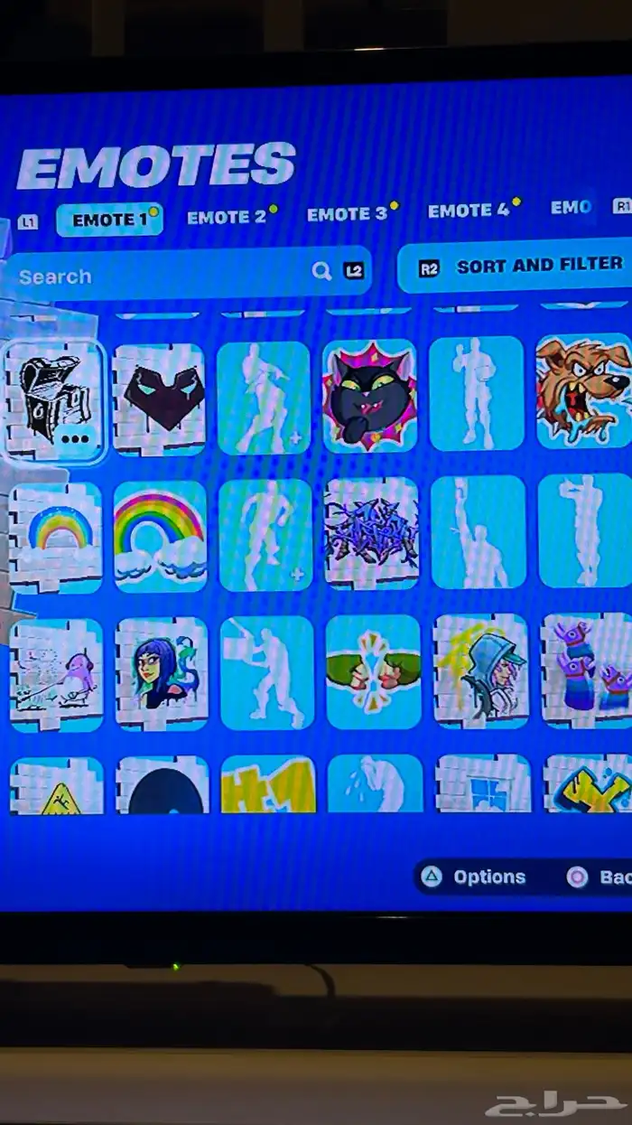 حساب فورت سكن البلس وتيك ذا ال 29