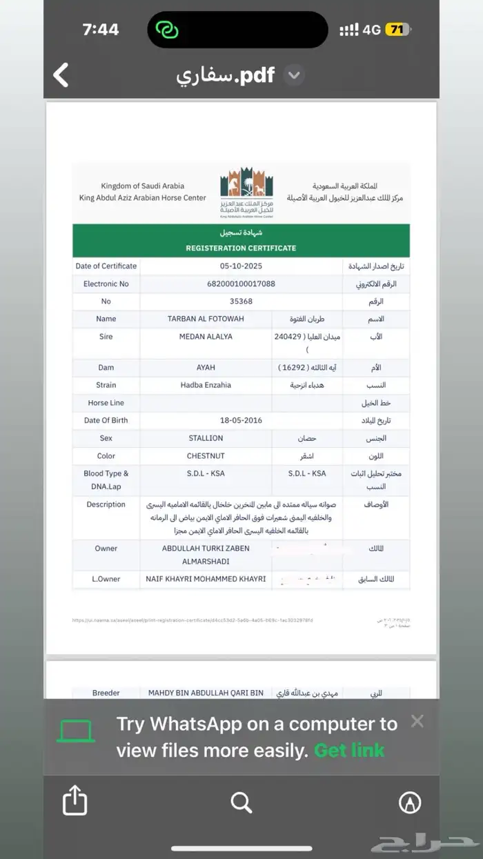 حصان واهو 2