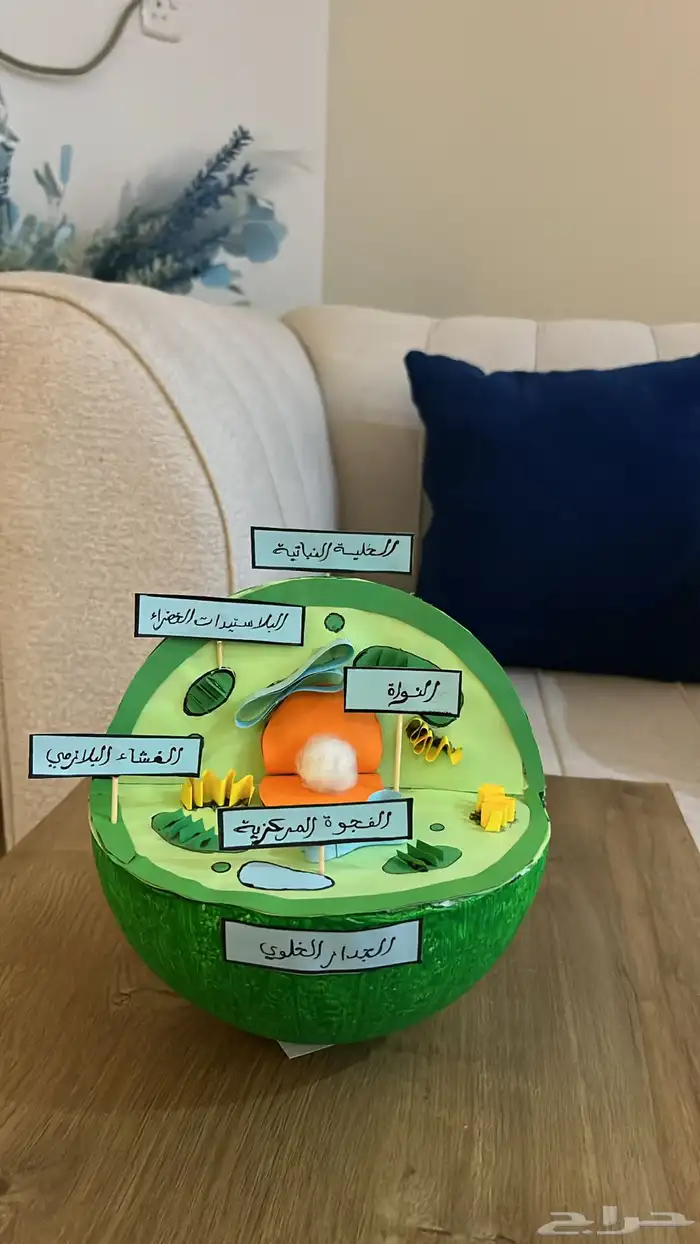 مشاريع ومجسمات 5