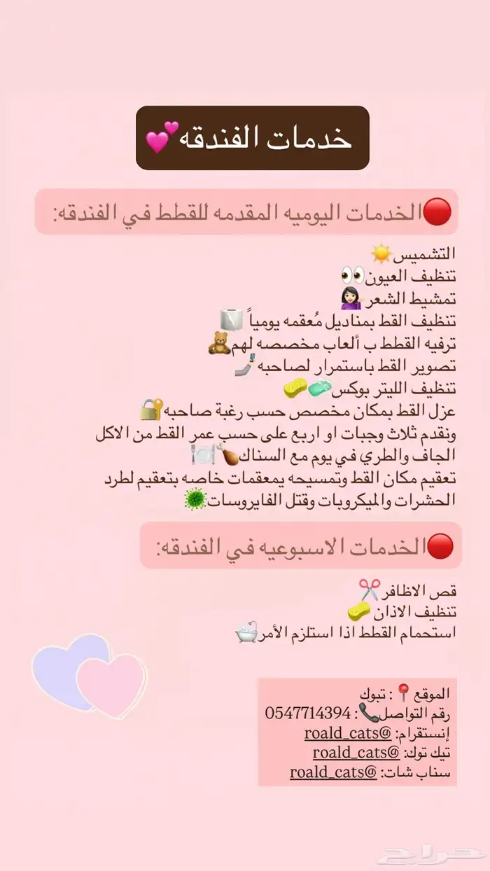 فندقة قطط وعنايه 3