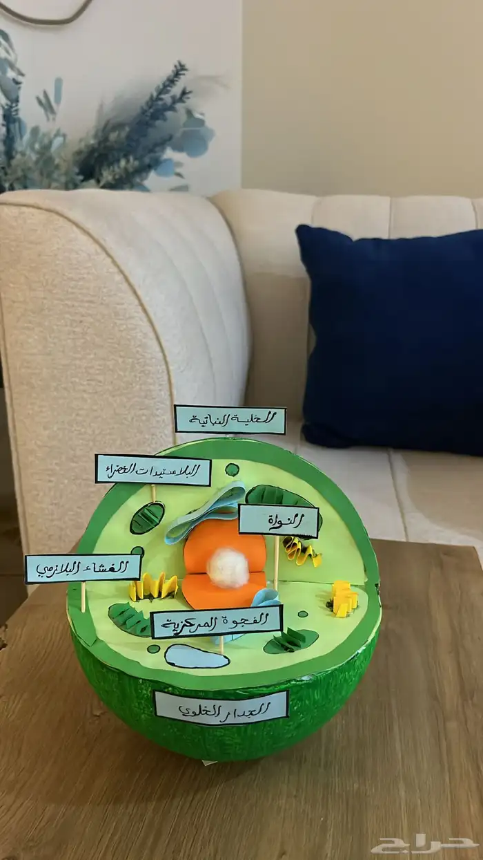 مشاريع ومجسمات 6