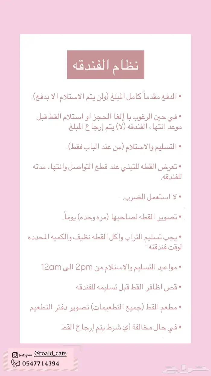 فندقة قطط وعنايه 2