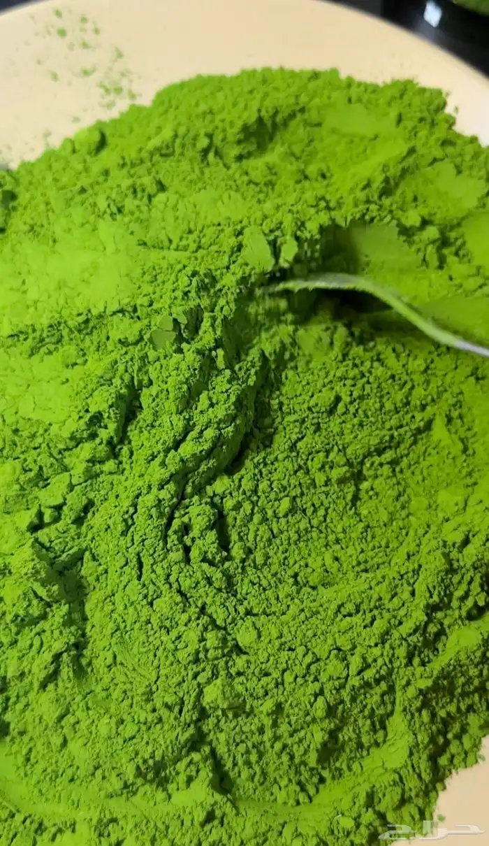 مورينجا بيع بالجمله 2