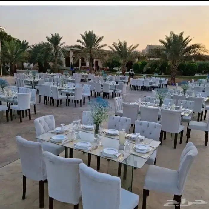 تاجير كراسي وطاولات 19
