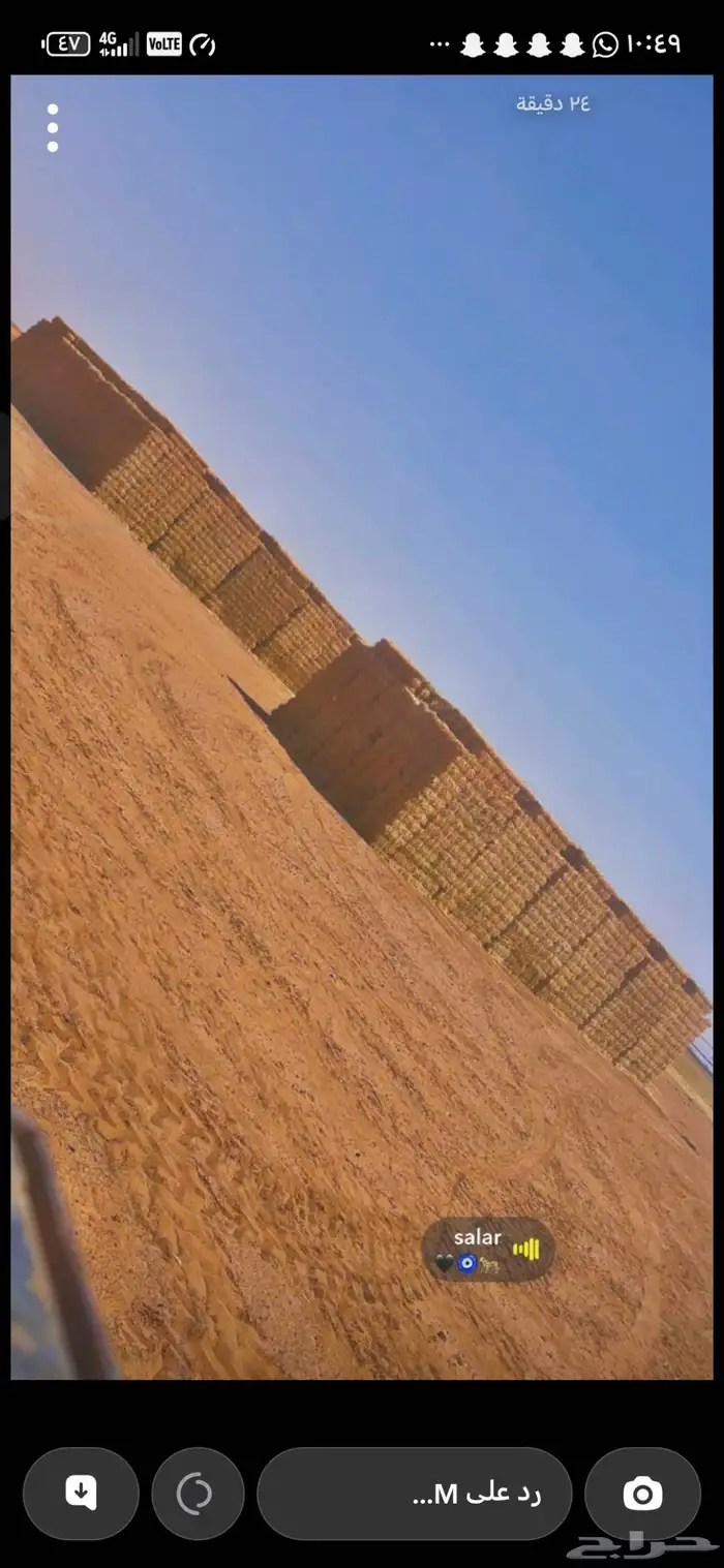 لقاطه نيوهلندا للبيع 1