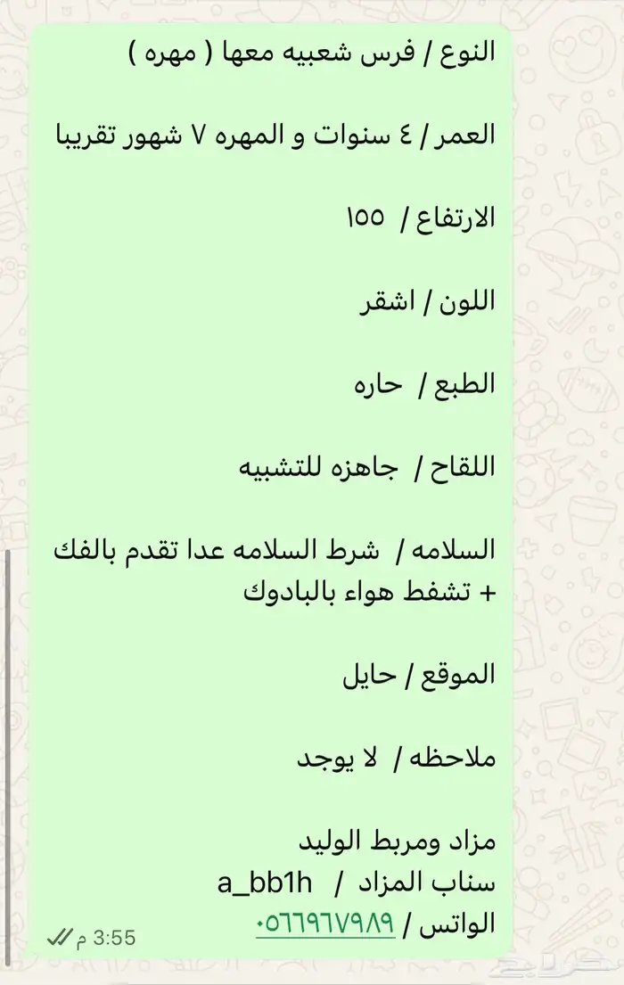 فرس عربيه معه بنتها ( مهره ) 2
