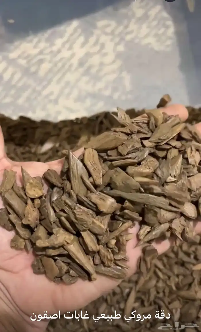 مروكي طبيعي غابات اصقون سوبر مرتفع 0