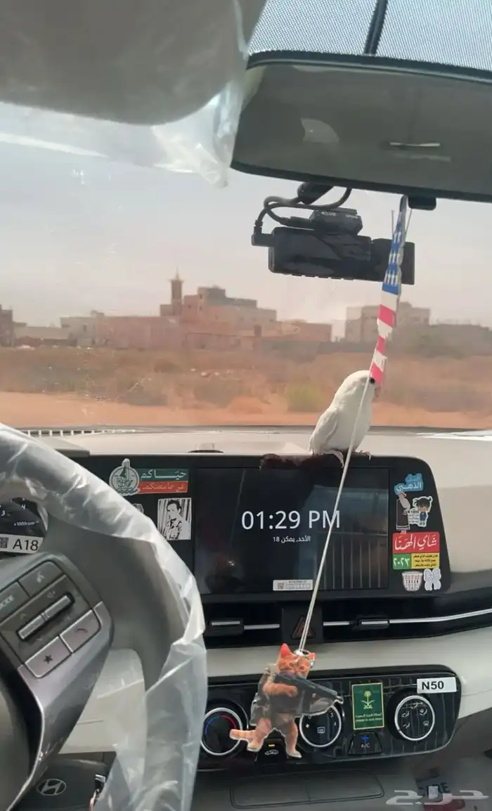 زوج روز 4