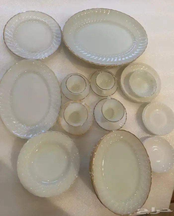 صحون 1