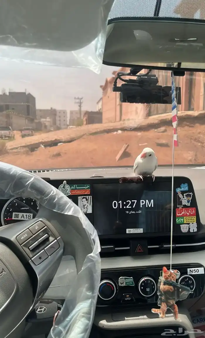 زوج روز 3