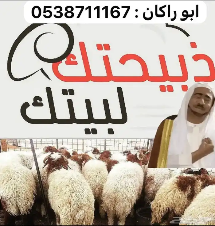 ذبايح نعيم - تيوس - حري 0