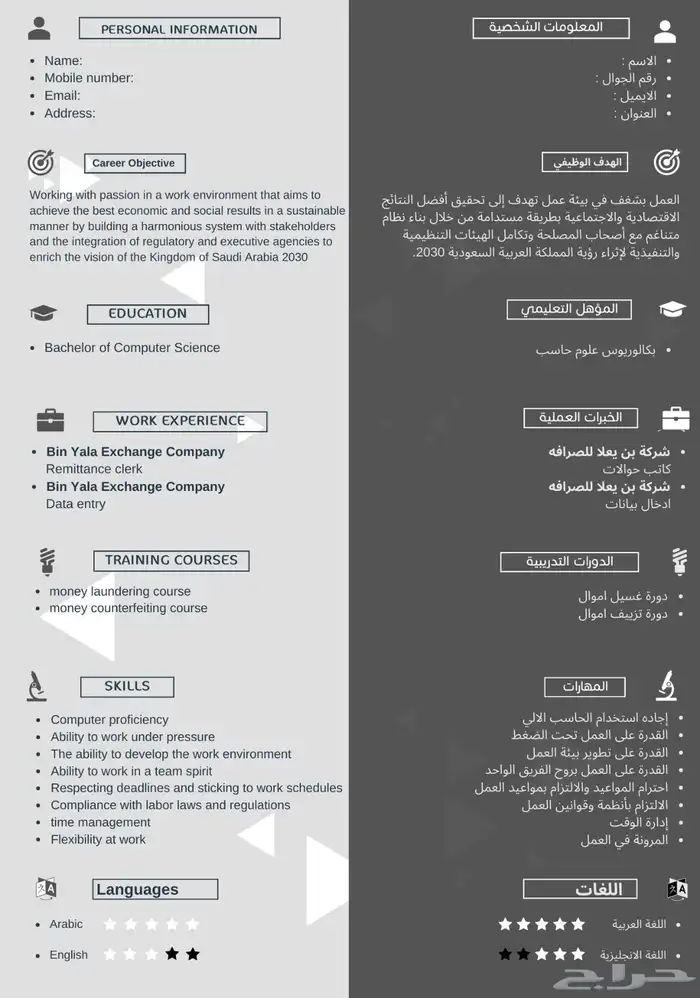 تصميم سيرة ذاتية احترافية CV 7