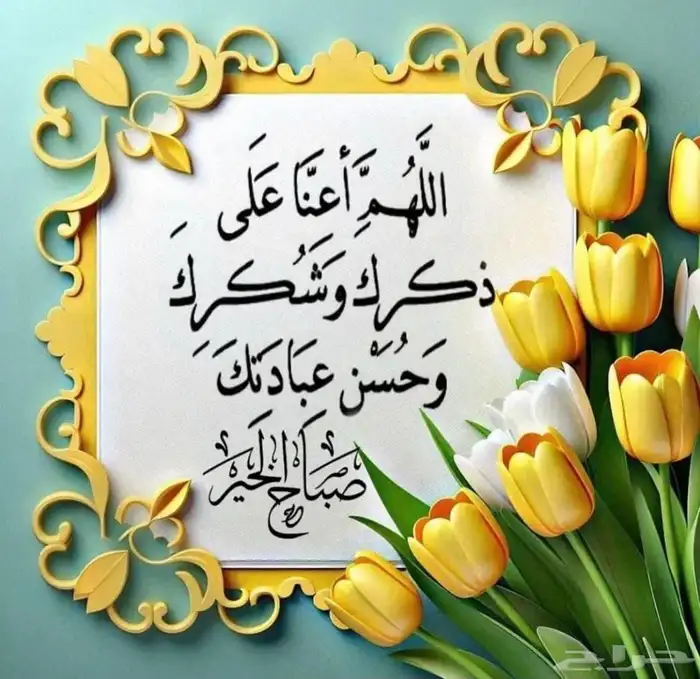 دكتور لمتابعة الطلاب جميع المراحل 0