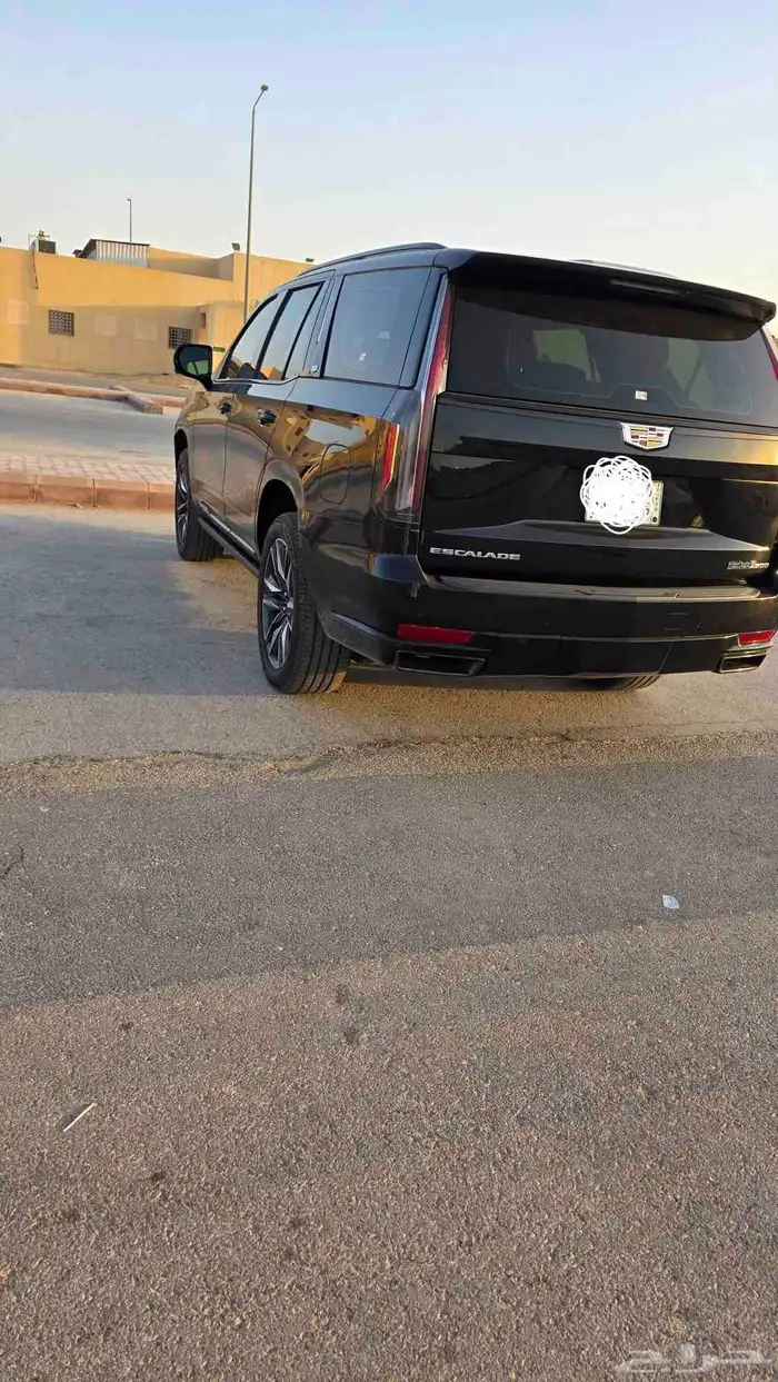 كدلك اسكلد 2023 9