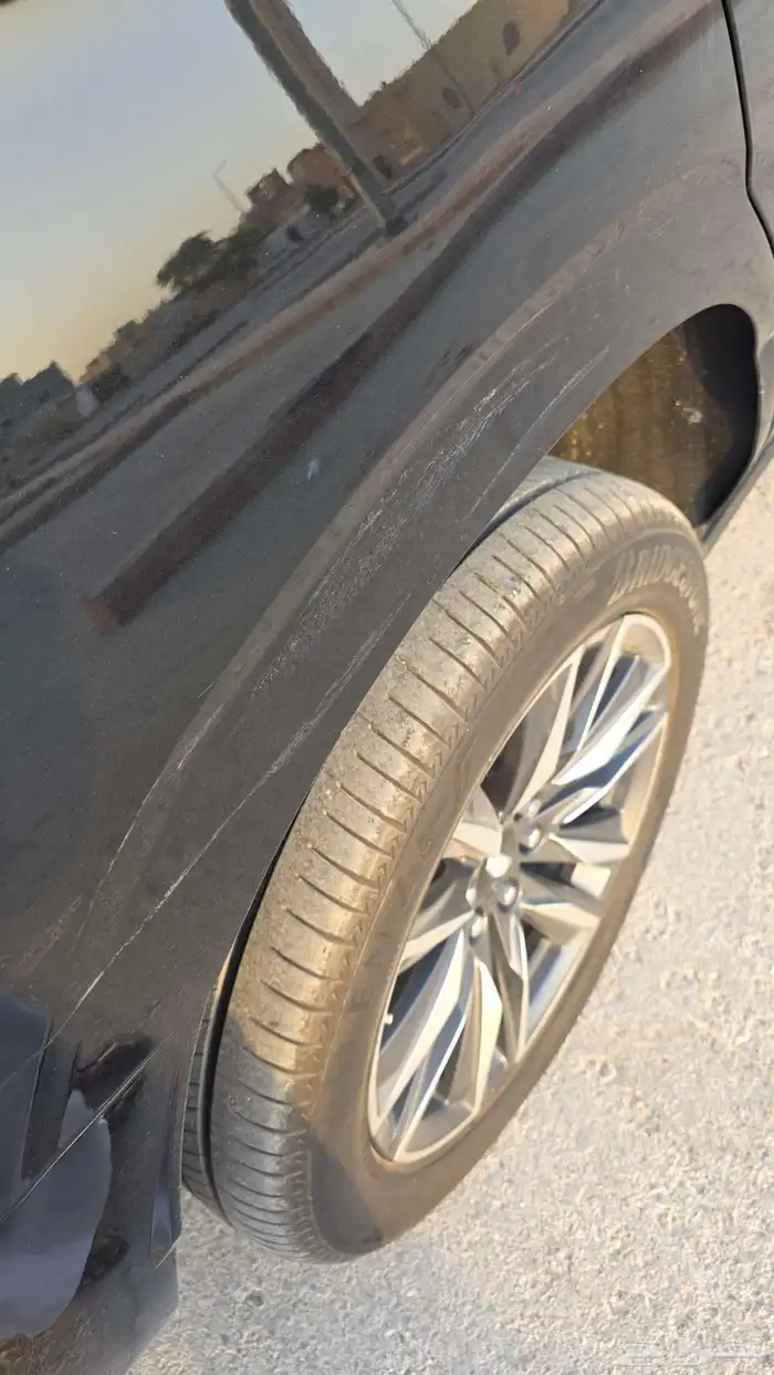 كدلك اسكلد 2023 20