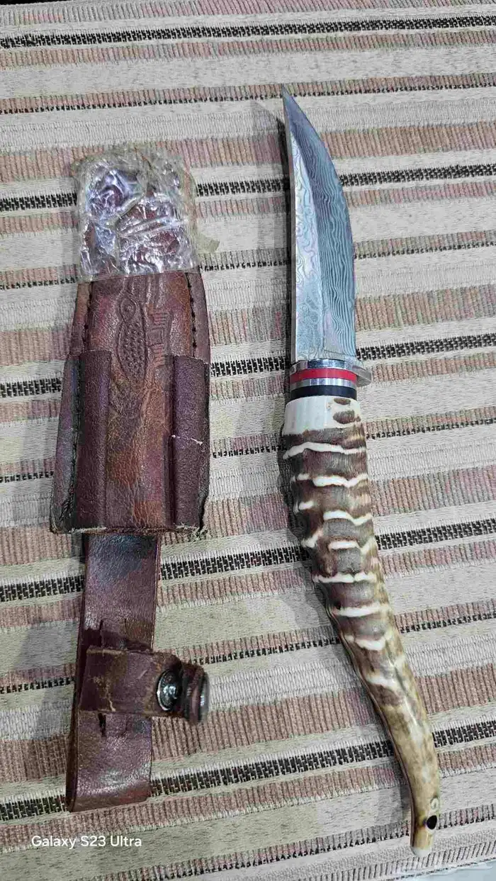 سحين على شحل قرن غزال 1