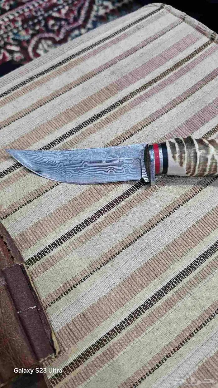 سحين على شحل قرن غزال 0