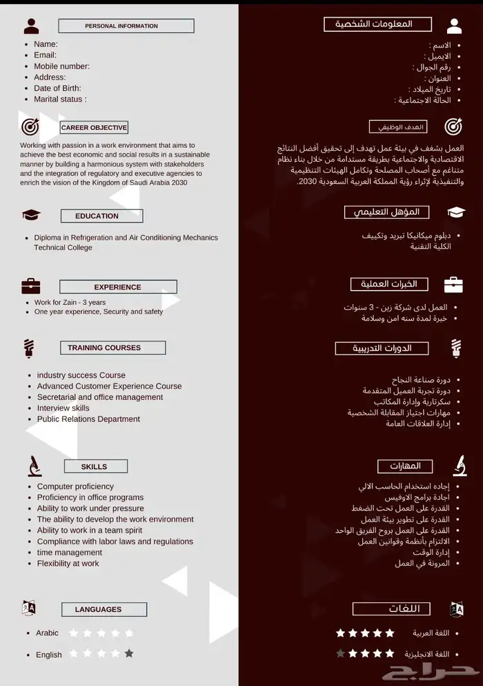تصميم سيرة ذاتية احترافية CV 14