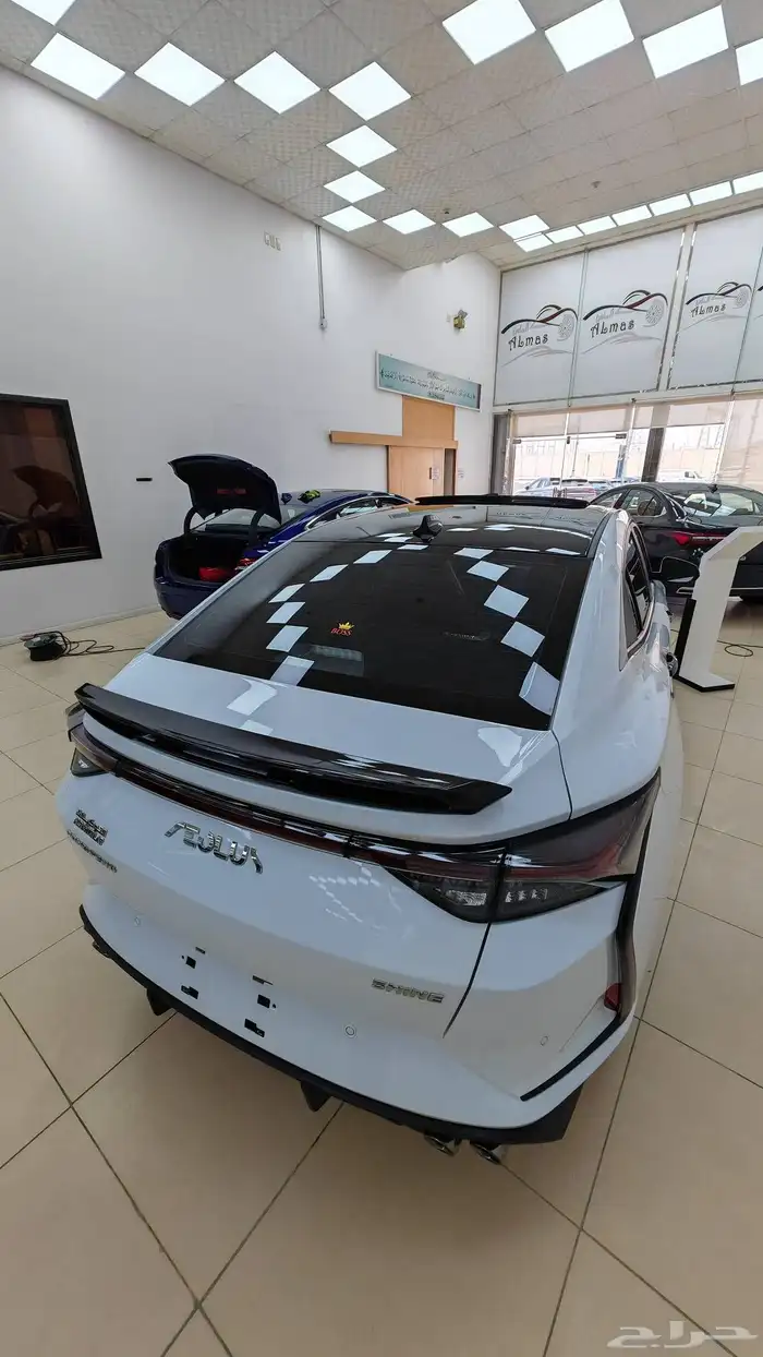 دونق فينق شاين 2025 فل ونص فل 3